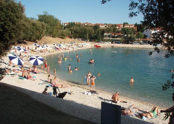 Apartament Birimac *