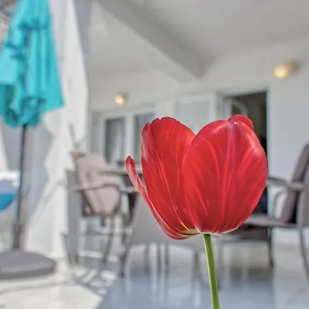 Apartament Birimac *