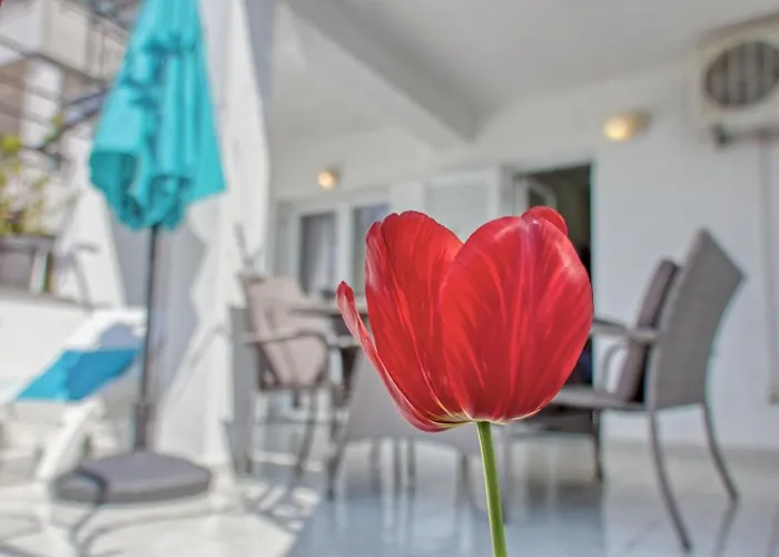 Appartement Birimac *