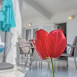 Apartment Birimac *